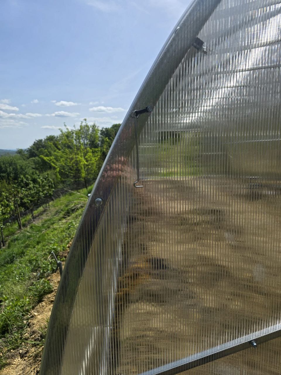 Gewächshaus COMFO mit 6mm Polycarbonat, in verschiedenen Größen erhältlich